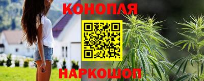 трава Ставрополь