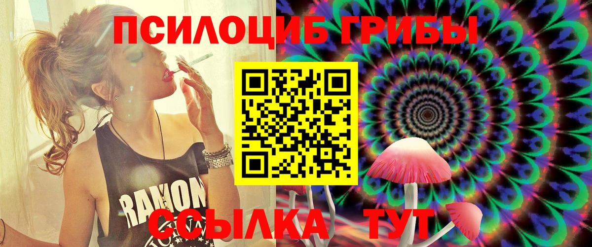 Галлюциногенные грибы Cubensis Нефтеюганск
